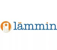Наглядный пример Lammin